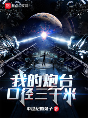 我的炮台口径三千米小说阅读