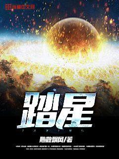 踏星小说阅读