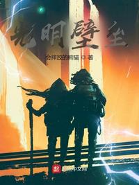 光明壁垒小说阅读