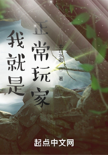 我就是正常玩家！小说阅读