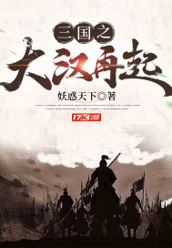 三国之大汉再起小说阅读