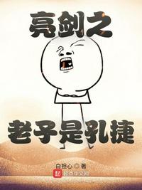 亮剑之老子是孔捷小说阅读