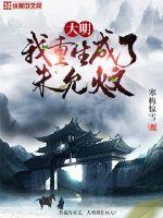 大明：我重生成了朱允炆小说阅读