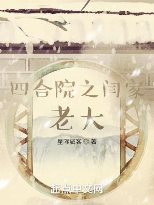 四合院之闫家老大小说阅读