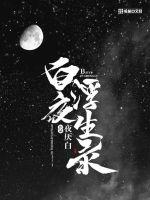 白夜浮生录小说阅读