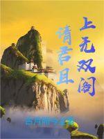 请君且上无双阁小说阅读