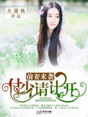前妻来袭：付少请让开小说阅读