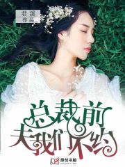 总裁前夫，我们不约小说阅读