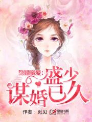 隐婚蜜爱：盛少谋婚已久小说阅读