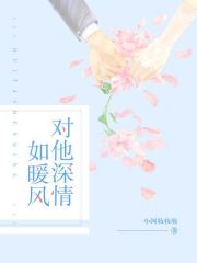 对他深情如暖风小说阅读