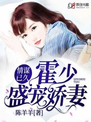 情谋已久：霍少盛宠娇妻小说阅读