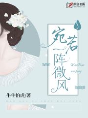 宛若一阵微风小说阅读