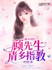 婚不可挡：顾先生，请多指教小说阅读