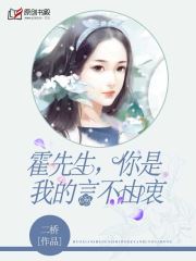 霍先生，你是我的言不由衷小说阅读