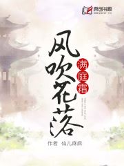 风吹花落满庭霜小说阅读