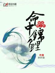 穿成君上的命中锦鲤小说阅读