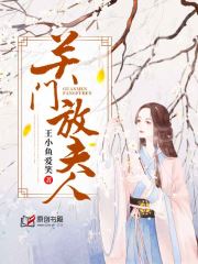关门放夫人小说阅读