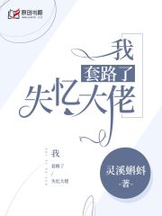 我套路了失忆大佬小说阅读