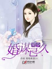 梁少，婚谋已久小说阅读