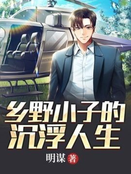 乡野小子的沉浮人生小说阅读