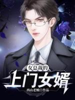 女总裁的上门女婿小说阅读