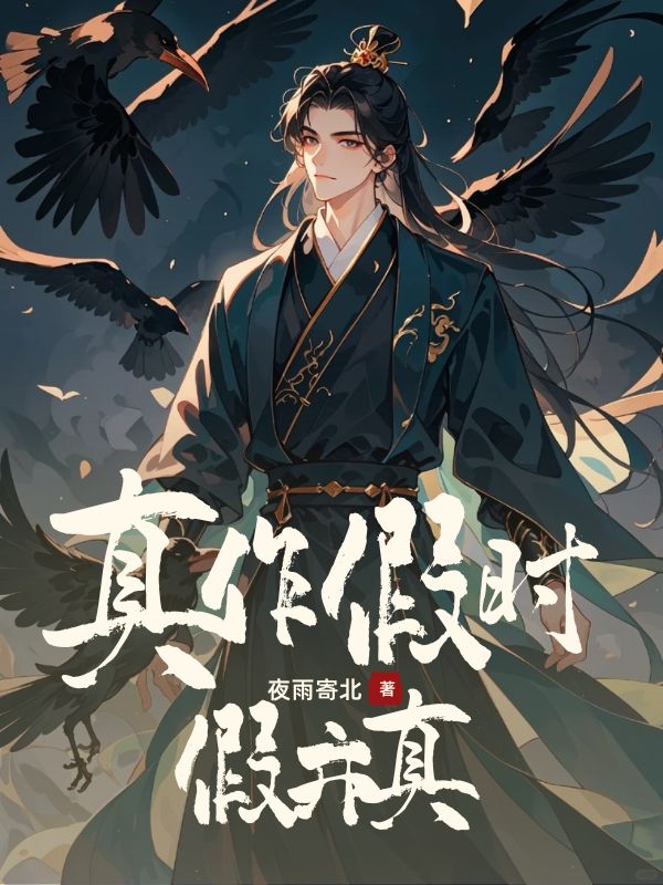 真作假时假亦真小说阅读