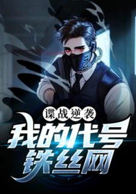 谍战逆袭：我的代号铁丝网小说阅读
