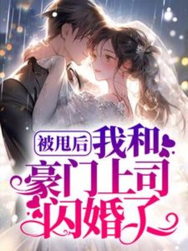 被甩后，我和豪门上司闪婚了小说阅读