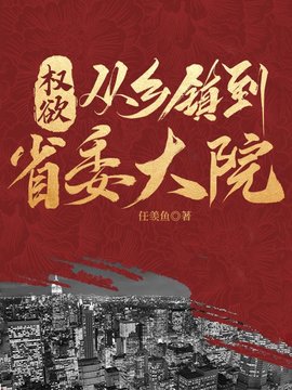 权欲：从乡镇到省委大院小说阅读