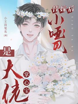 替嫁后，小哑巴是大佬掌心宝小说阅读