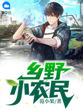 乡野小农民小说阅读