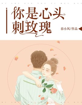 你是心头刺玫瑰小说阅读