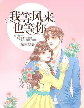 我等风来，也等你小说阅读