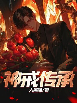 神戒传承小说阅读