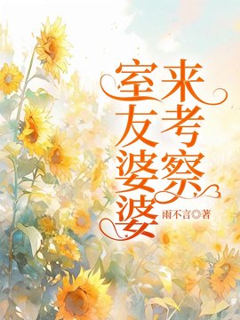 室友婆婆来考察小说阅读