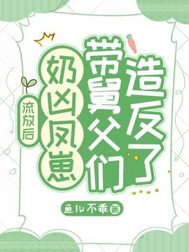 雏凤转世叶永孝苦宝小说阅读