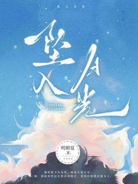 坠入月光小说阅读
