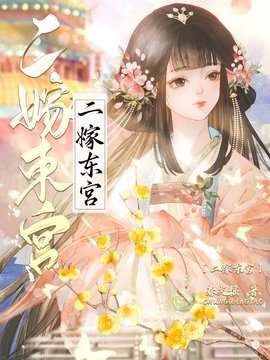 二嫁东宫小说阅读