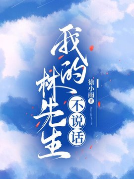 我的林先生不说话小说阅读