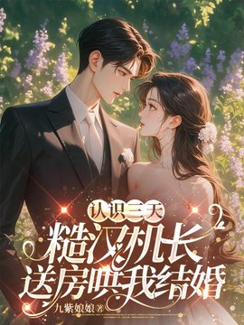 认识三天，糙汉机长送房哄我结婚小说阅读