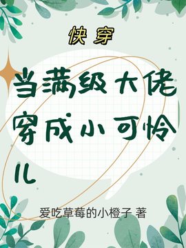 长宁张玉清小说阅读