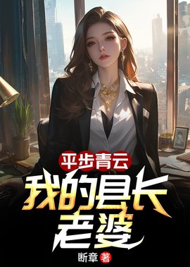 平步青云：我的县长老婆小说阅读
