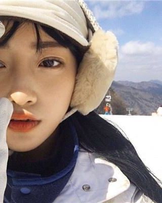 番茄假想 作者：yespear小说阅读
