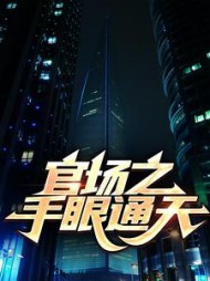官场之手眼通天阅读