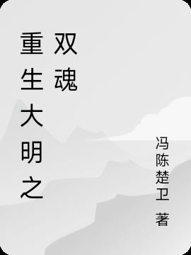 重生大明之双魂小说阅读