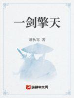 一剑擎天小说阅读