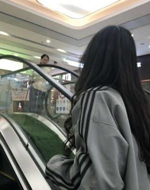 如何为始皇崽耕出万里江山 作者：木兰竹