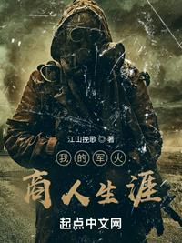 我的军火商人生涯小说阅读