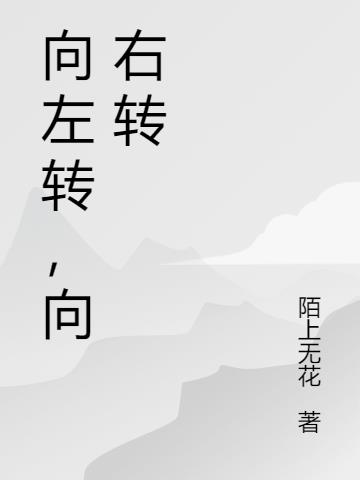 向左转，向右转小说阅读