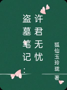 盗墓笔记：许君无忧小说阅读